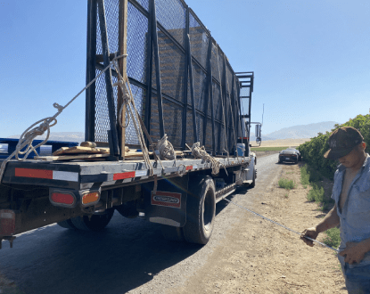 STRUCTURAL WELDING